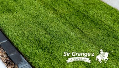 Sir Grange Zoysia