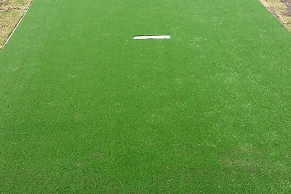 Lawn 1 