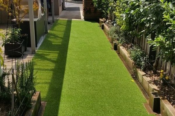 Lawn 3 