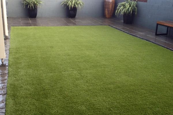 Lawn 7 