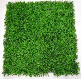 Deluxe Buxus 2 