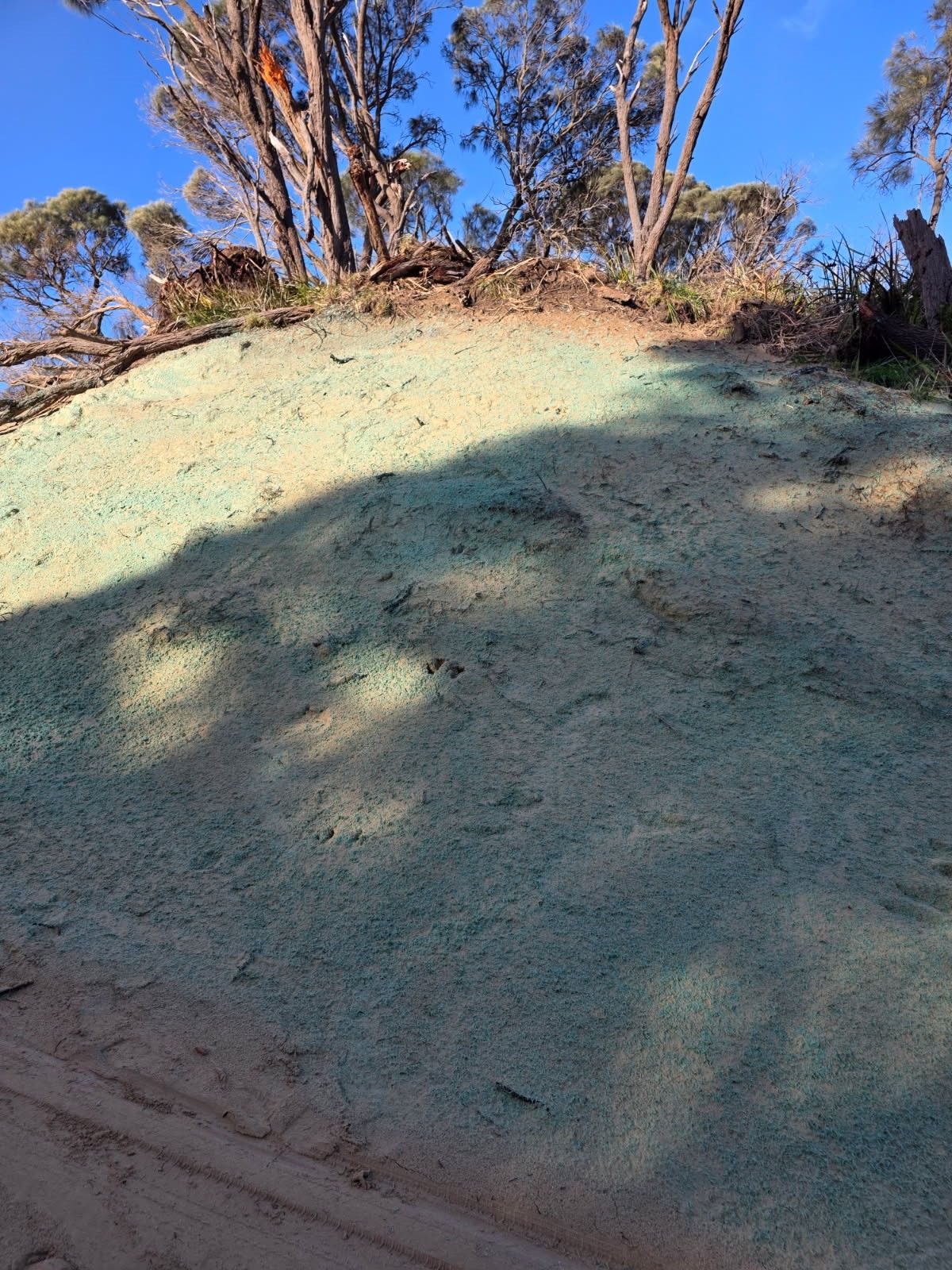 Erosion Control After Photo