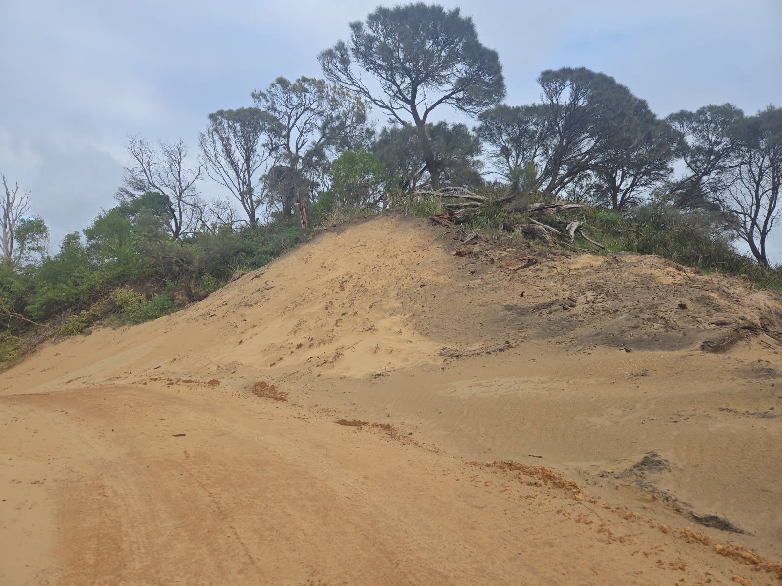 Erosion Control Photo 2