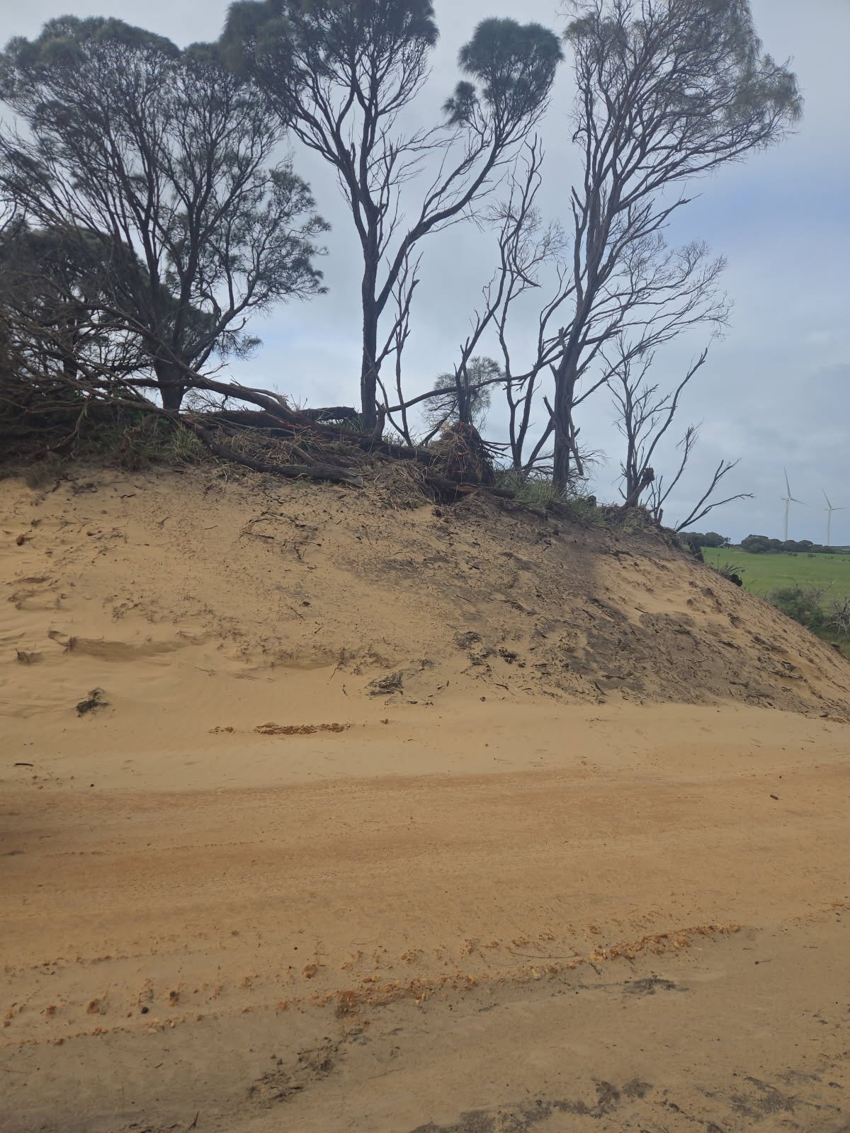 Erosion Control Photo