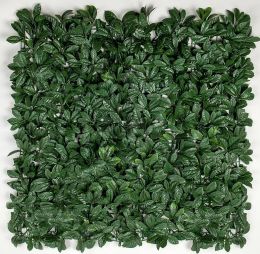 Green Laurel