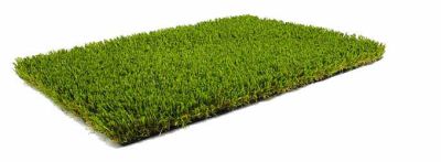 Hydroseedings Artificial Grass