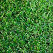 Instant Turf Kikuyu