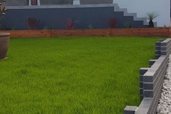 Pavingconcreteedging1 (Custom)