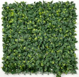 Laurel