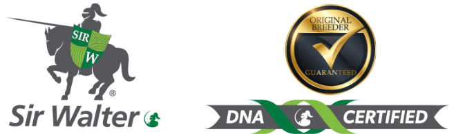 Sirwalter Dna Ob Rgb