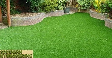 Lawn
